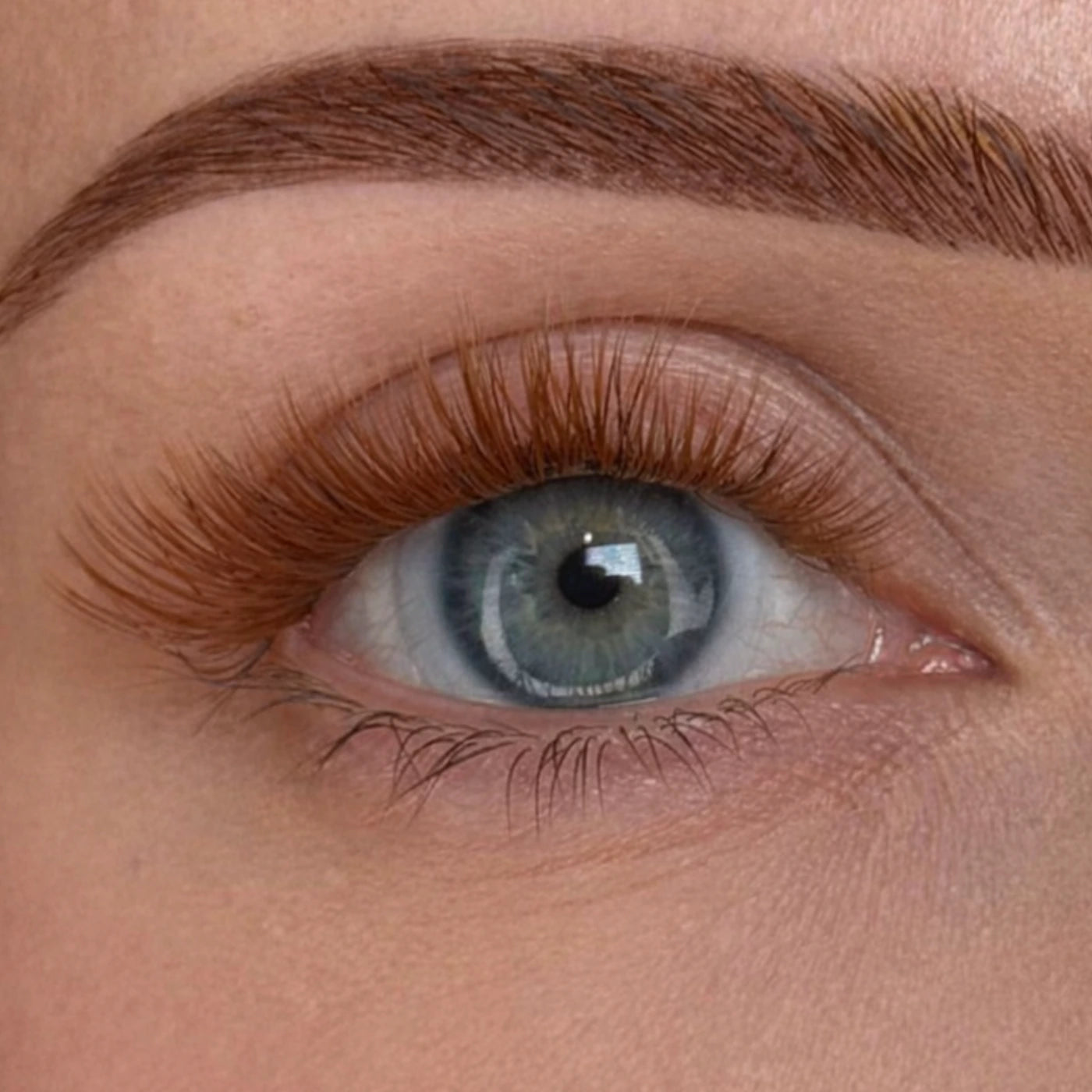 Elov 1Step Lashes™ - Kit completo Extension Ciglia Adesive in seta PBT